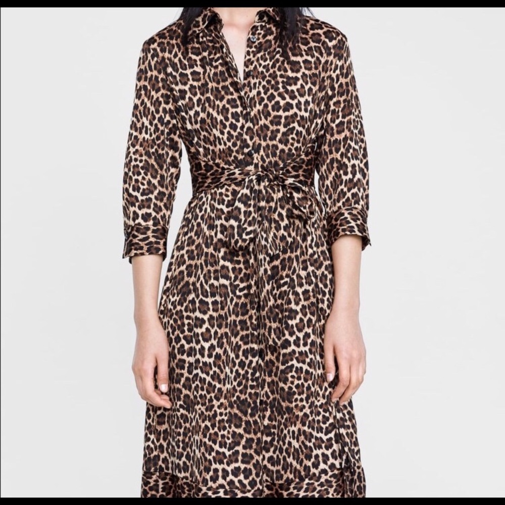 Leopard Print Dress